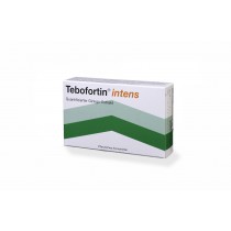 Tebofortin intens 120 mg 90 Tbl