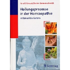 Knauss, Harald / Sonnenschmidt, Rosina - Heilungsprozesse in der Homöopathie
