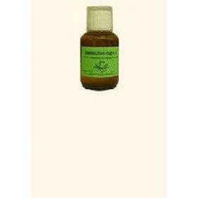 Bombyx processionea (Prozessionsspinner) Dilution 100 ml D6