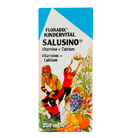 Floradix Salusino Kindervital 250 ml